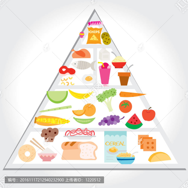 向量-食物指南金字塔