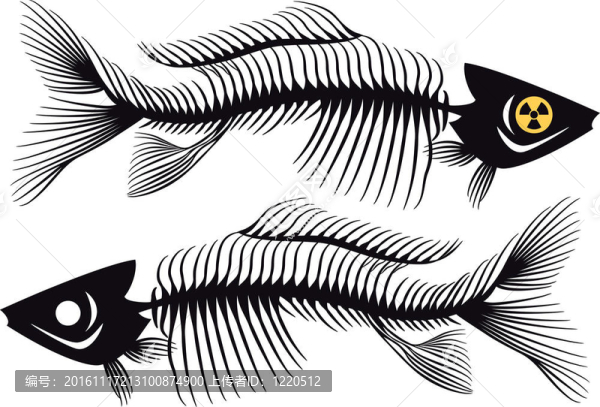 魚骨；載體