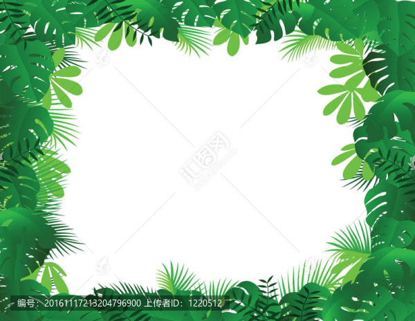 森林的結(jié)構(gòu)
