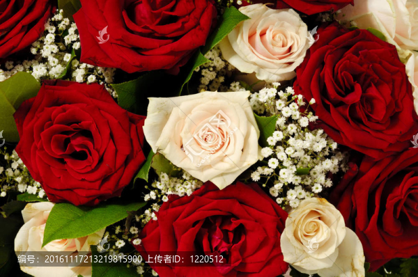 玫瑰花束
