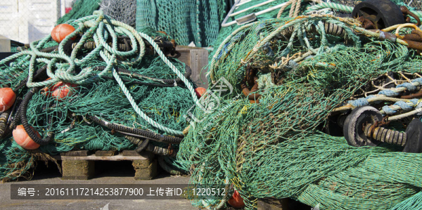漁網(wǎng)