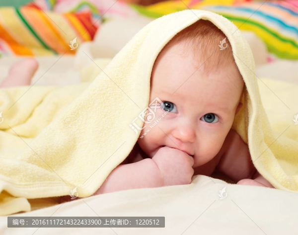 四個(gè)月的嬰兒