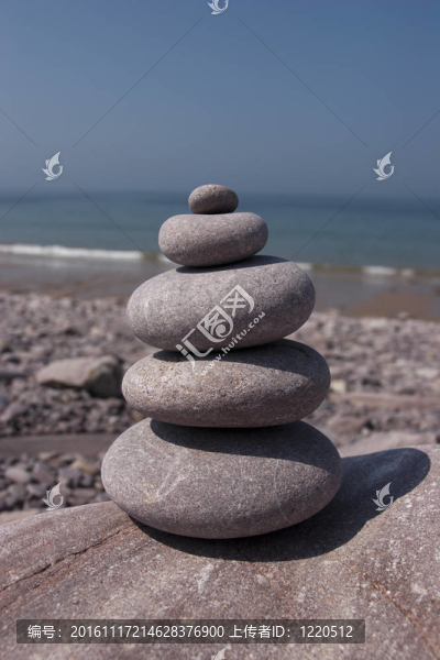 圓皮布爾斯塔