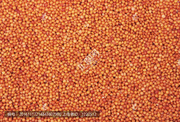 紅扁豆