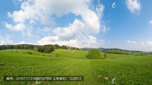 草地與森林景觀