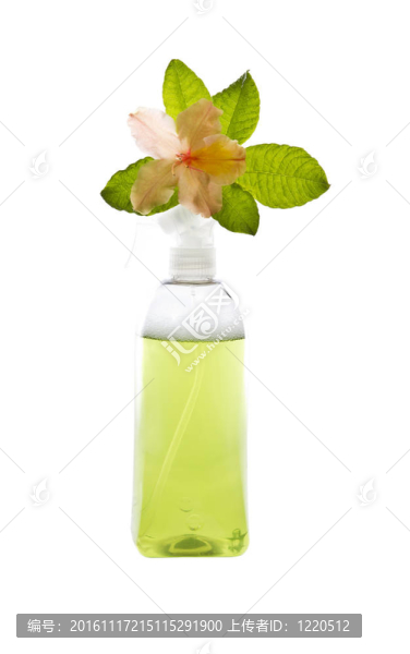 干凈的綠色