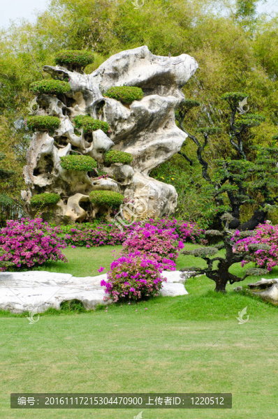 泰國(guó)美麗的花園