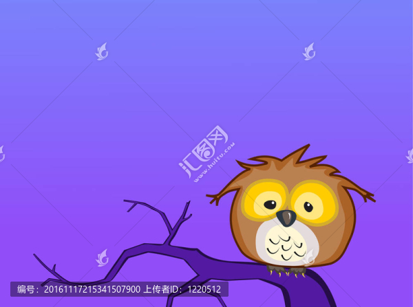 貓頭鷹貓頭鷹晚上坐在一個樹枝上