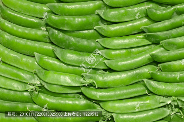 青豌豆莢