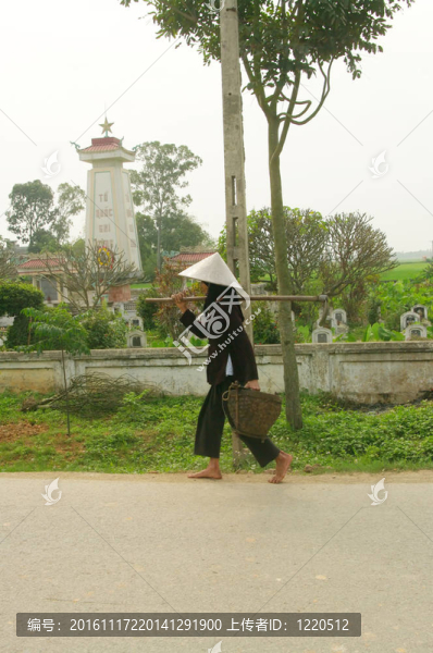 老農(nóng)民Kinh（越南）