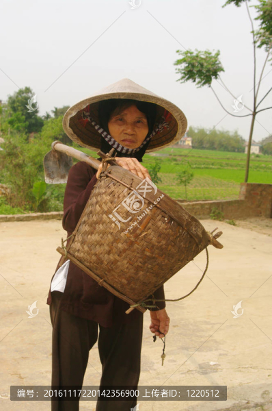 老農(nóng)民Kinh（越南）