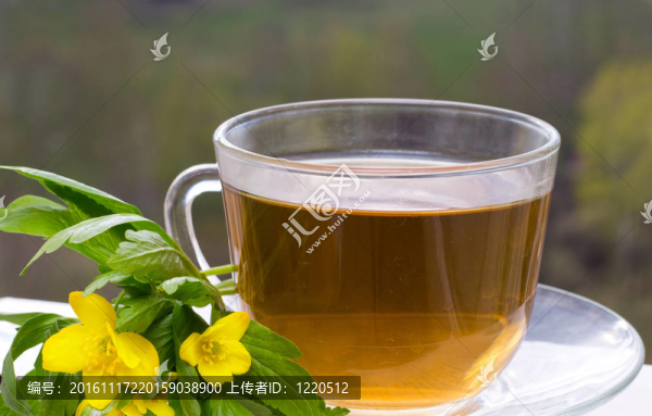 杯調(diào)理茶