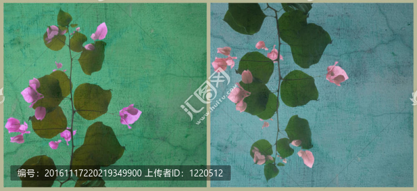 三角梅的藝術(shù)背景blobby分裂