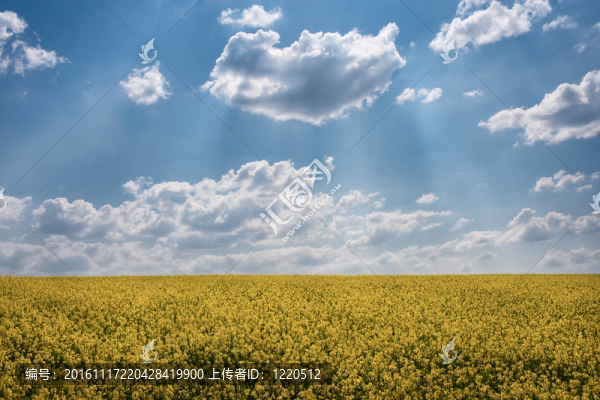 強奸