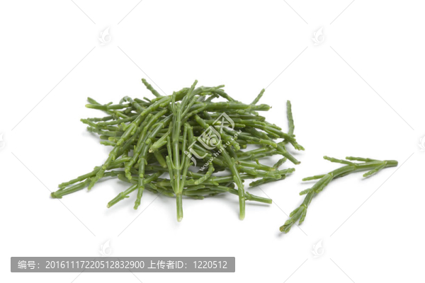 海蓬子秸稈堆