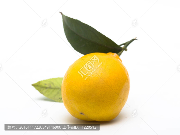 檸檬
