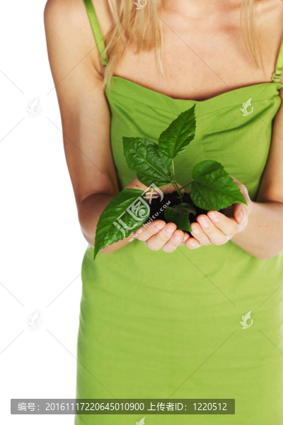 植物在手