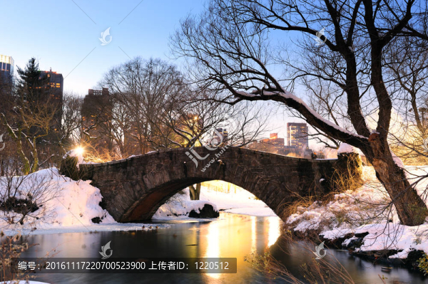 紐約市冬季中央公園