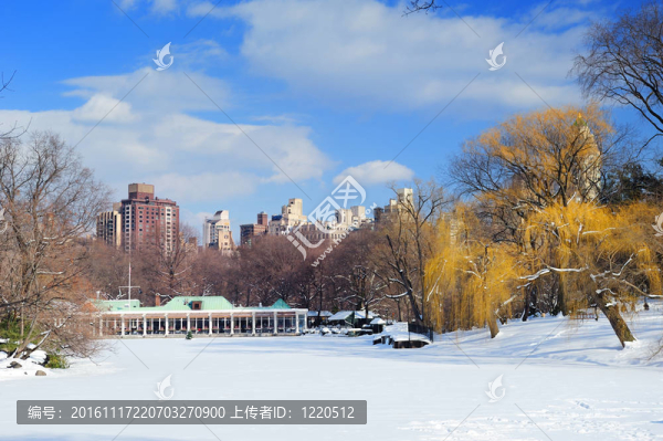 紐約市中央公園全景