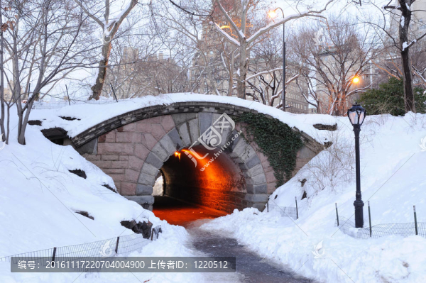 紐約市冬季中央公園