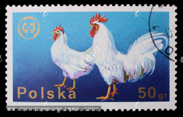 波蘭-大約1970：郵票-,Cock
