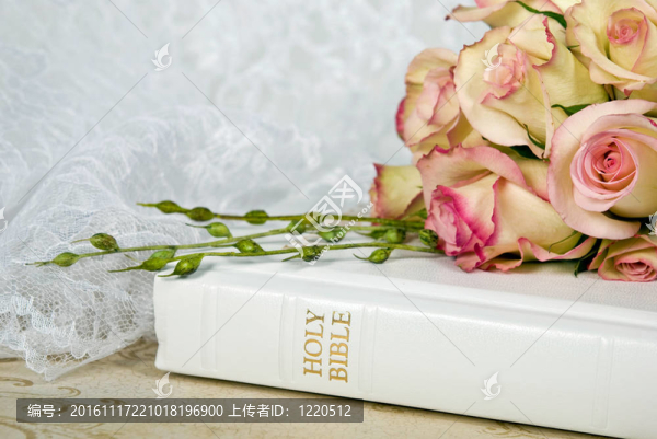 婚禮的圣經(jīng)