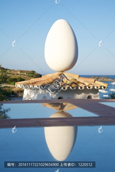 白蛋的反映