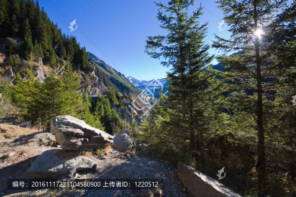 與藍色的天空在秋天弗格拉什山脈