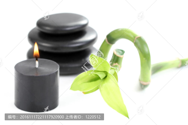 最后的治療