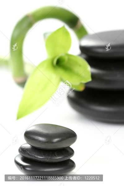 最后的治療