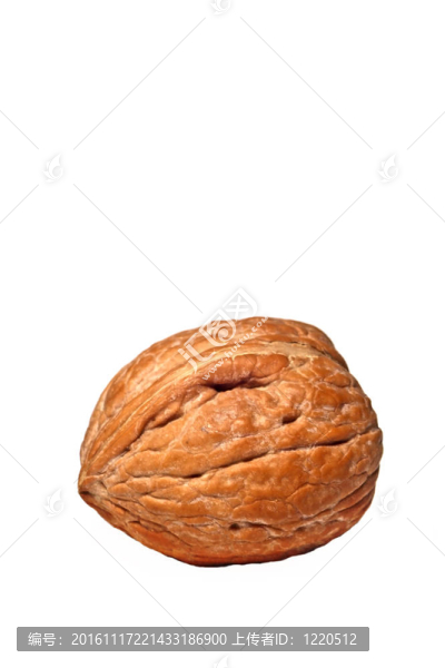單一的核桃