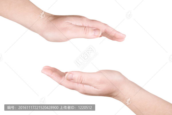 手掌上的白色背景