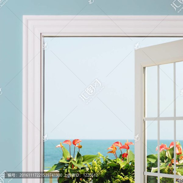 從度假區(qū)/住宅內(nèi)部看海洋。鑒于紅掌花和綠色的葉子。