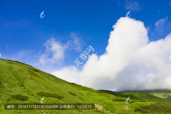 綠色草地和藍(lán)天