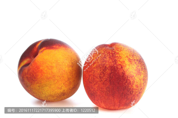 橘柚