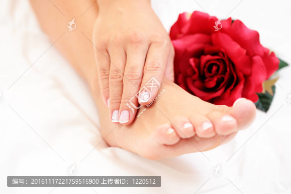 美麗的腳和手