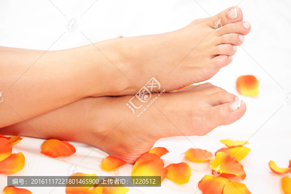 美麗的腳