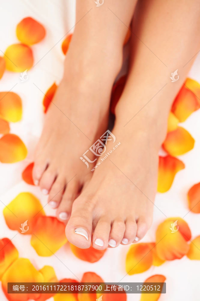美麗的腳