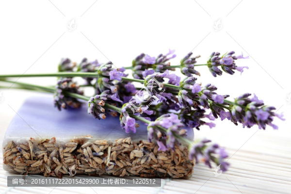 薰衣草甘油皂