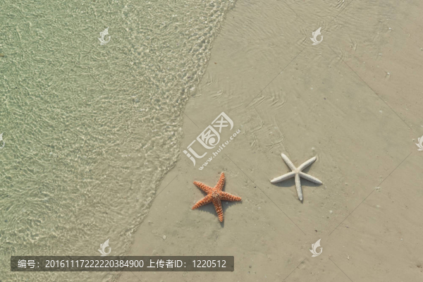 熱帶海灘上的海星；潮水來了