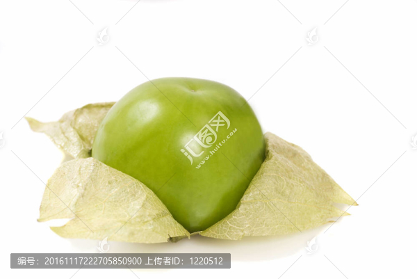 新鮮的粘