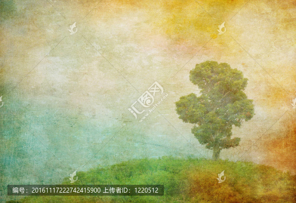 在垃圾背景一棵樹的老照片