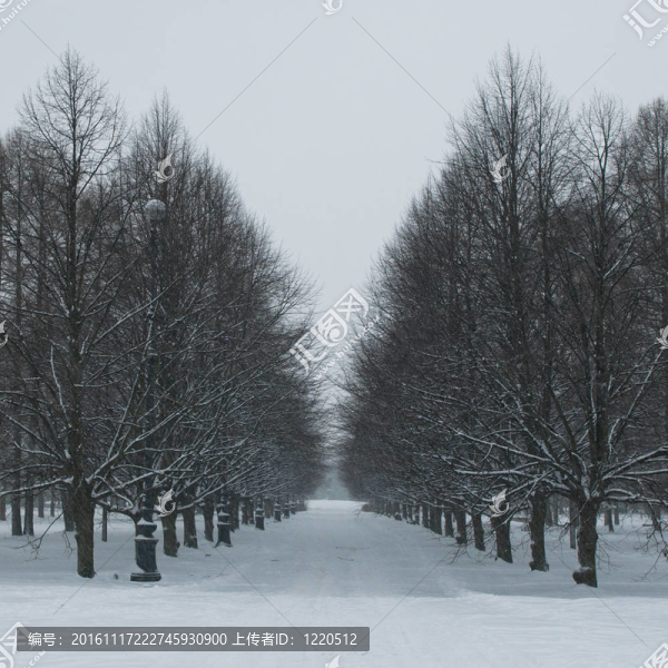 冬季景觀