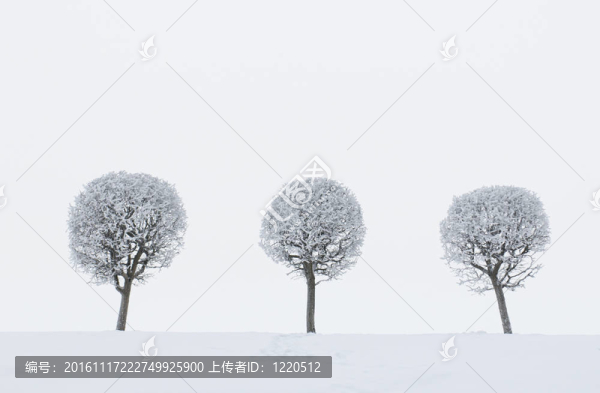 冬季景觀