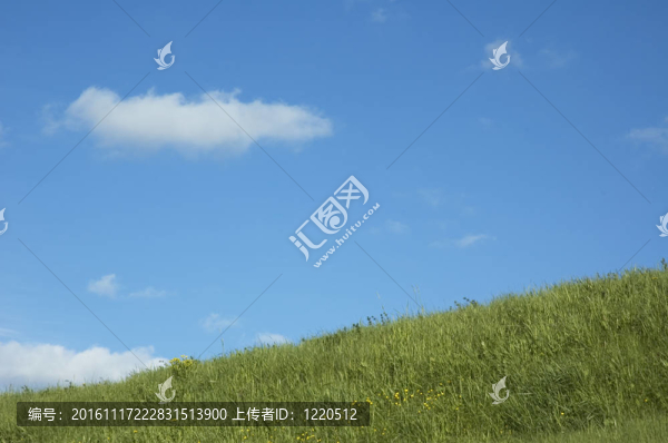 草與藍天的背景