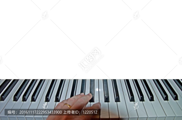 鍵盤