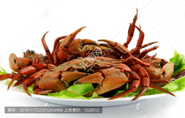 煮熟的螃蟹