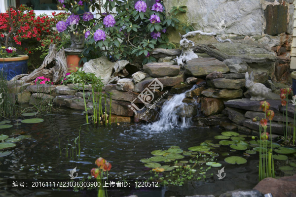 小瀑布池塘