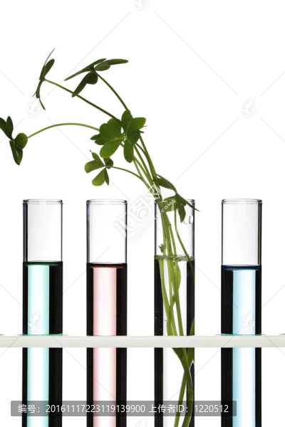 Flowers和試管植物