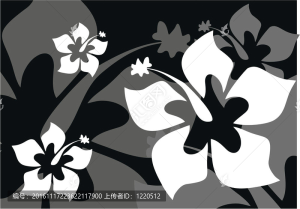 熱帶花卉背景